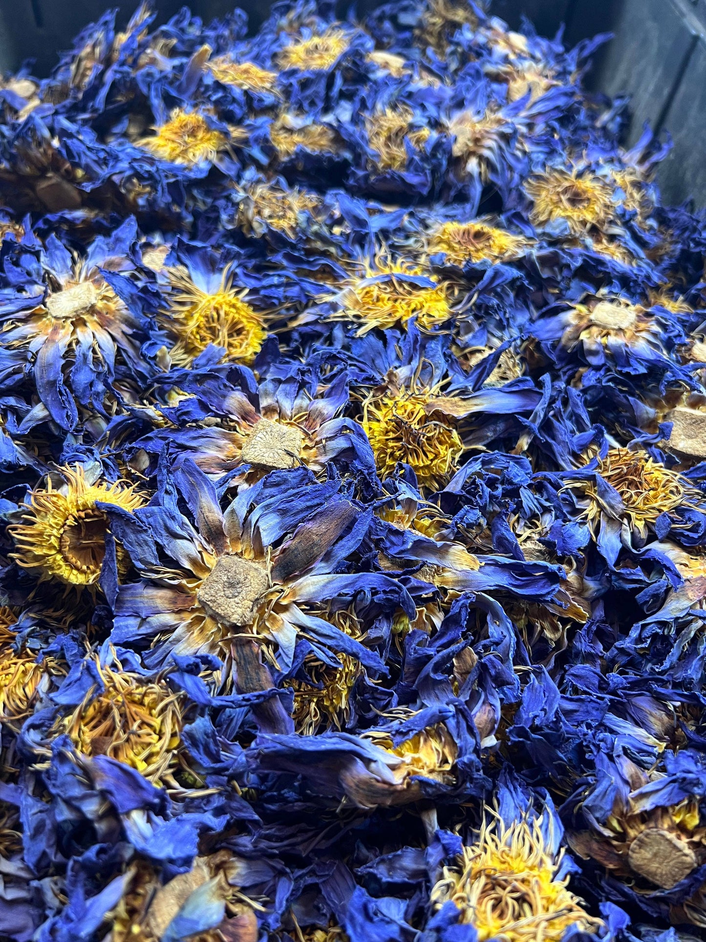 Blue Lotus Whole Flower in Quart Jar 1 oz