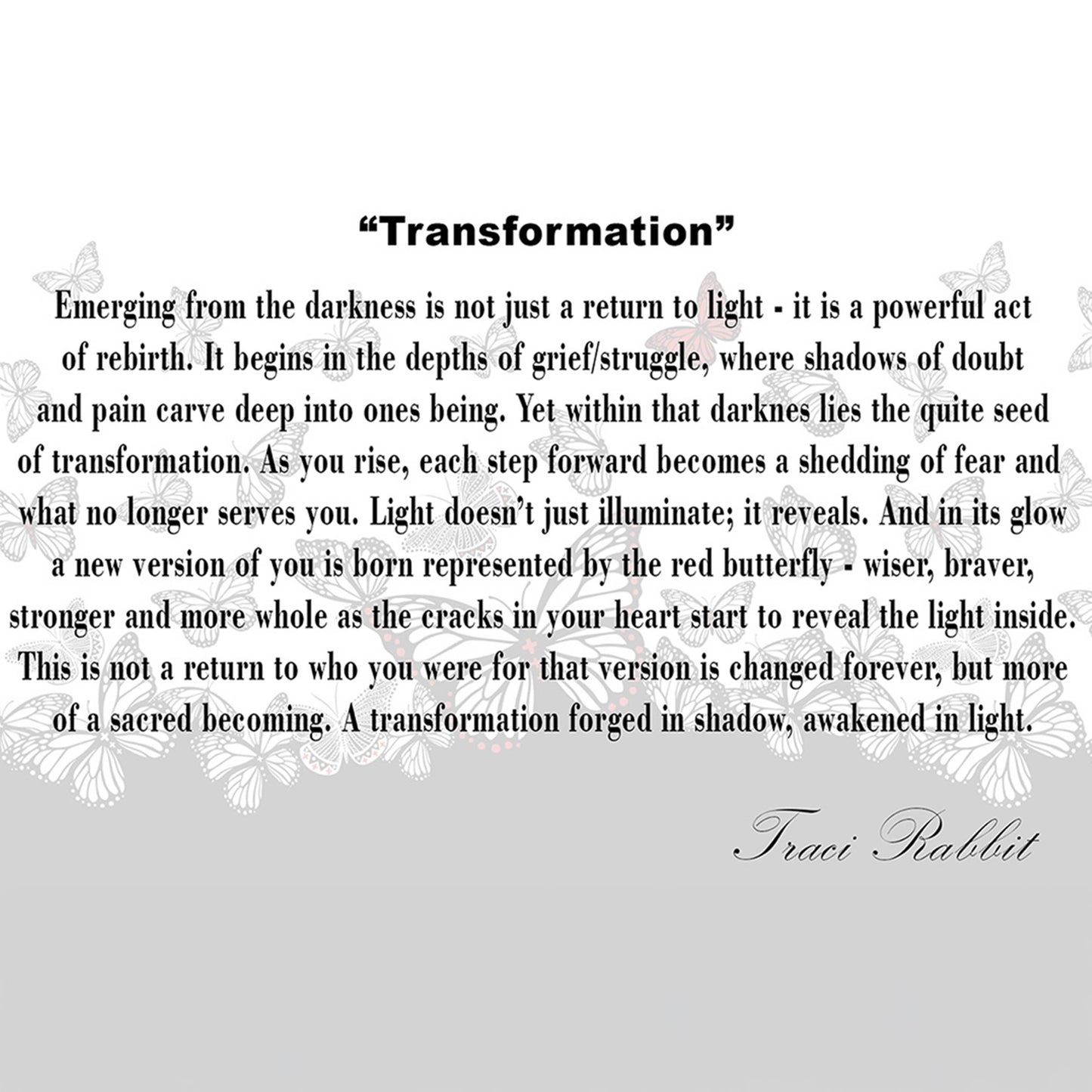 Transformation Butterfly Scarf