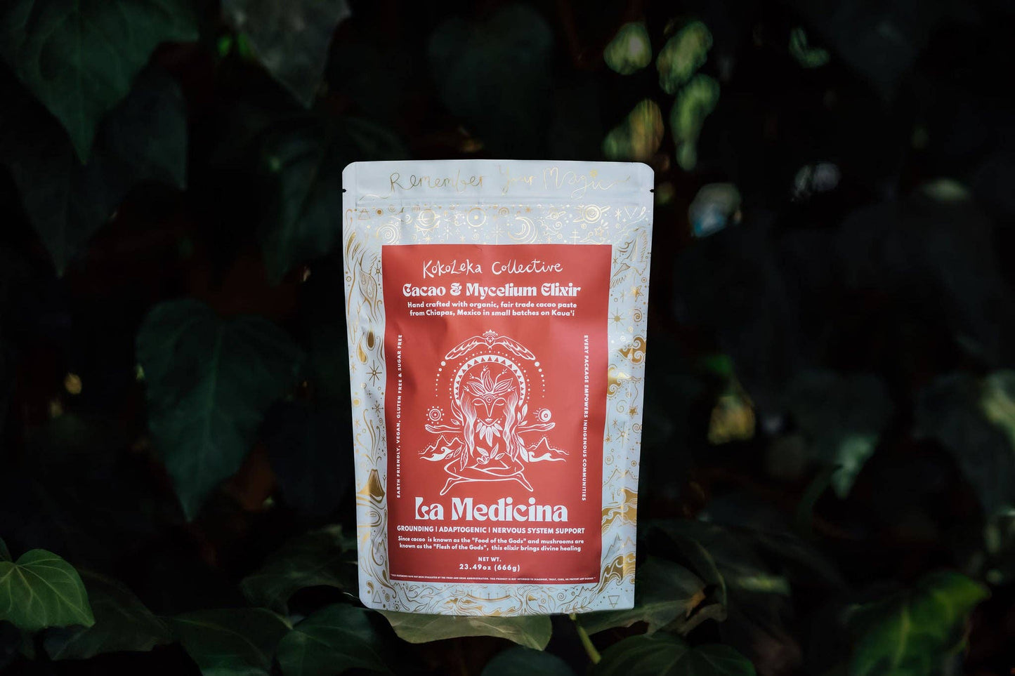 La Medicina - Medicinal Mushrooms Ceremonial Cacao Elixir: 333g