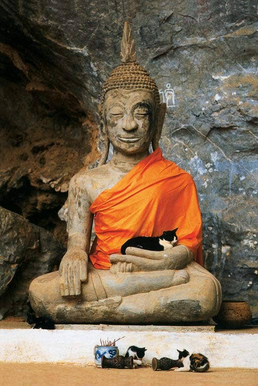 Postcards - All Varieties