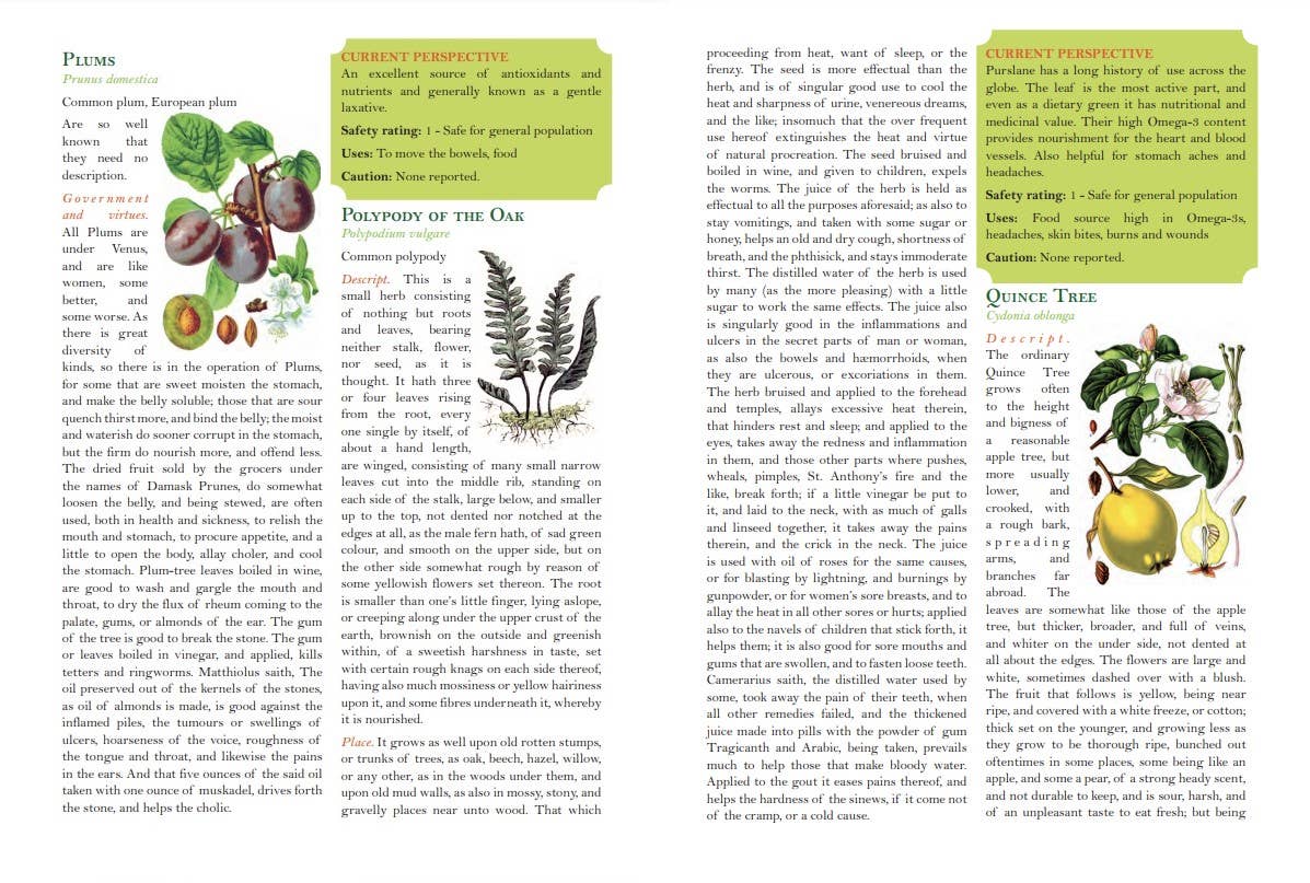 Culpeper's Complete Herbal: Herbalists, Healers, & Witches: White Cover