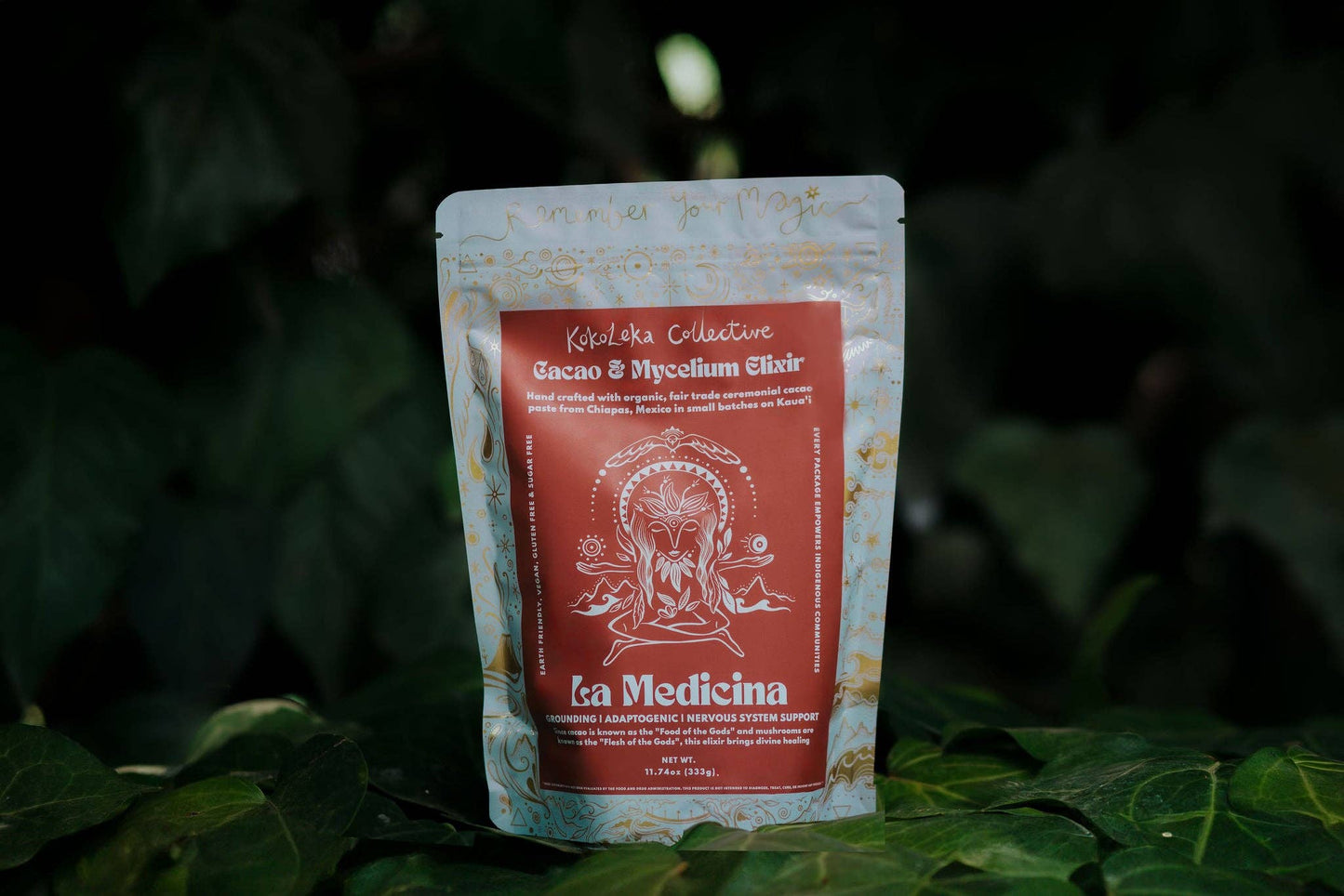 La Medicina - Medicinal Mushrooms Ceremonial Cacao Elixir: 333g
