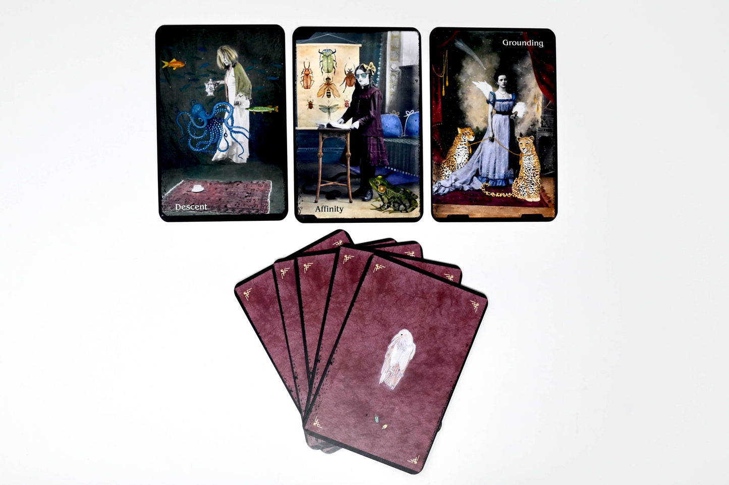 The Oracle of Rewilding: 44 Cards & 176-Page Guidebook