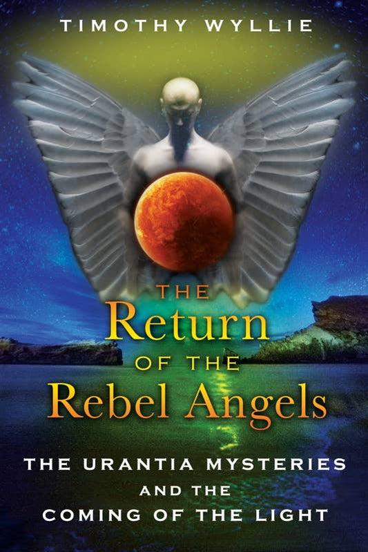 Return of the Rebel Angels by Timothy Wyllie: Paperback; 488 pages / English