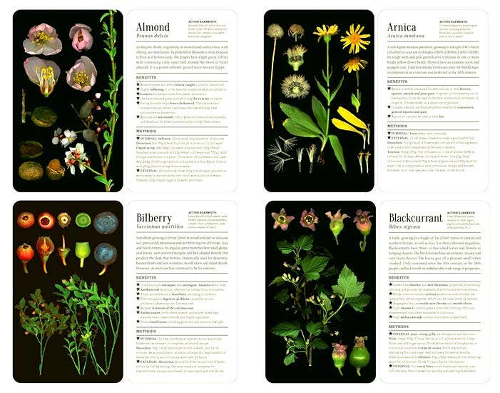 50 Plants that Heal: Discover Medicinal Plants. Card Deck.