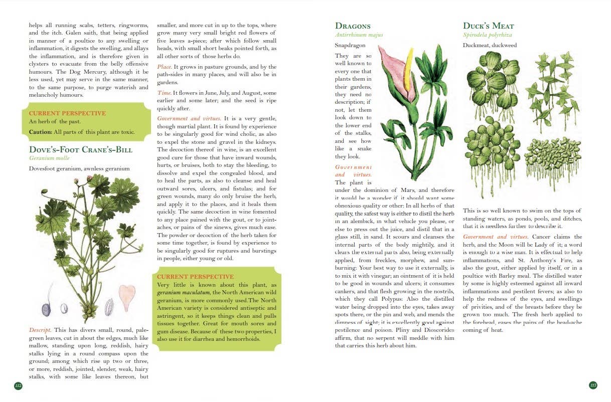 Culpeper's Complete Herbal: Herbalists, Healers, & Witches: White Cover