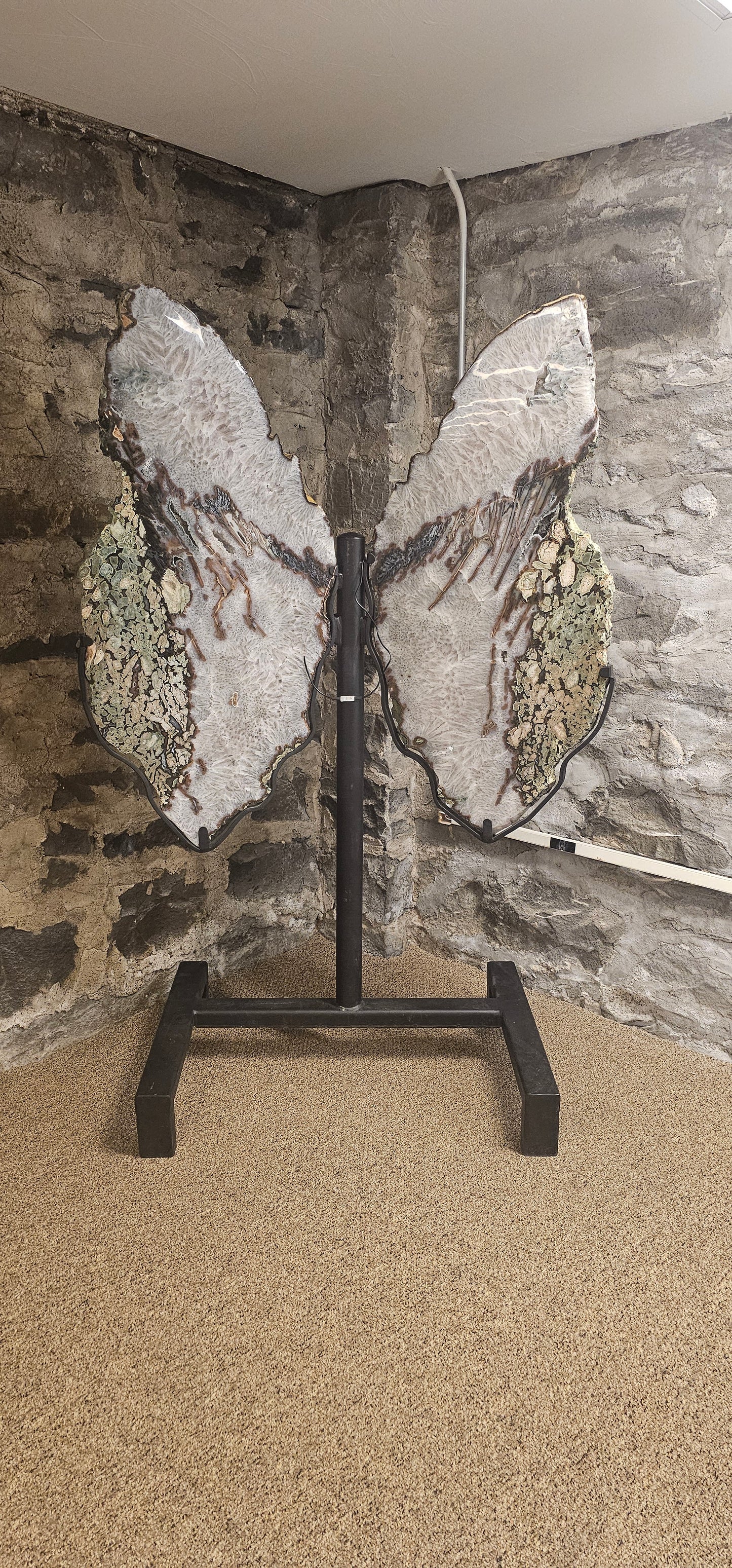 Large Butterfly wings on stand (humanoid size) 😀