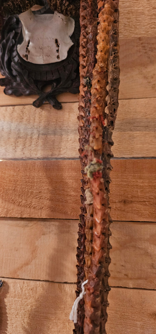 Snake Spine 17 Inch Necklace